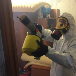 Уничтожение клопов в квартире. Северное Медведково